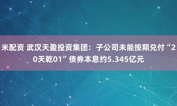 米配资 武汉天盈投资集团：子公司未能按期兑付“20天乾01”债券本息约5.345亿元