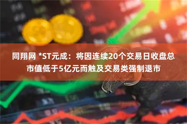 同翔网 *ST元成：将因连续20个交易日收盘总市值低于5亿元而触及交易类强制退市