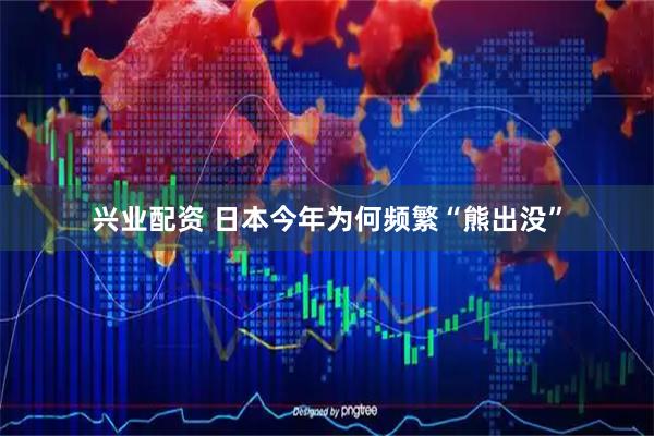 兴业配资 日本今年为何频繁“熊出没”