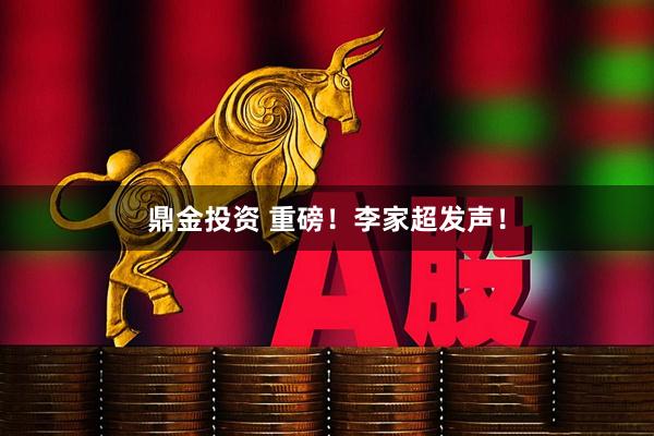 鼎金投资 重磅！李家超发声！
