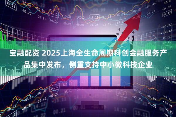 宝融配资 2025上海全生命周期科创金融服务产品集中发布，侧重支持中小微科技企业