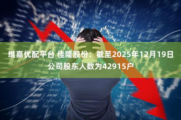维嘉优配平台 佳隆股份：截至2025年12月19日公司股东人数为42915户