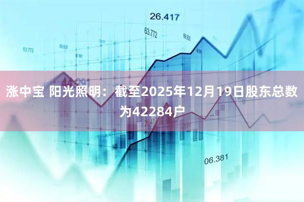 涨中宝 阳光照明：截至2025年12月19日股东总数为42284户